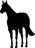 Halter Horse Reflective Decal