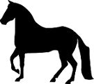 Paso Fino Horse Reflective Decal