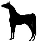 Arabian Horse Reflective Decal