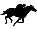 Race Horse Reflective Decal 