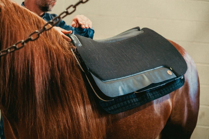 Back On Track Western Pad Liner