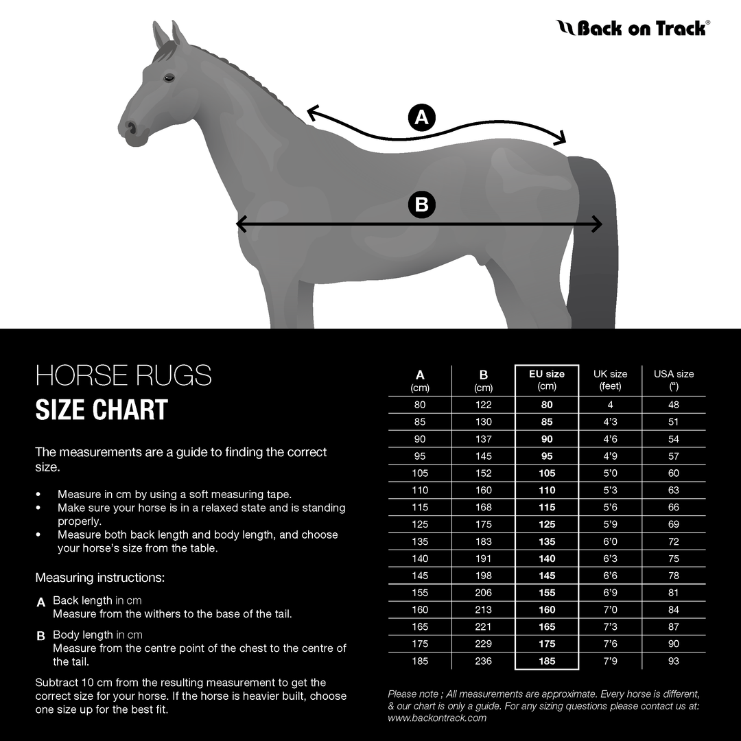 Back On Track Royal Mesh Sheet Deluxe