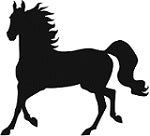 Horse Showing Off Reflective Decal 