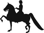 Morgan Park Saddle Horse &  Woman Reflective Decal