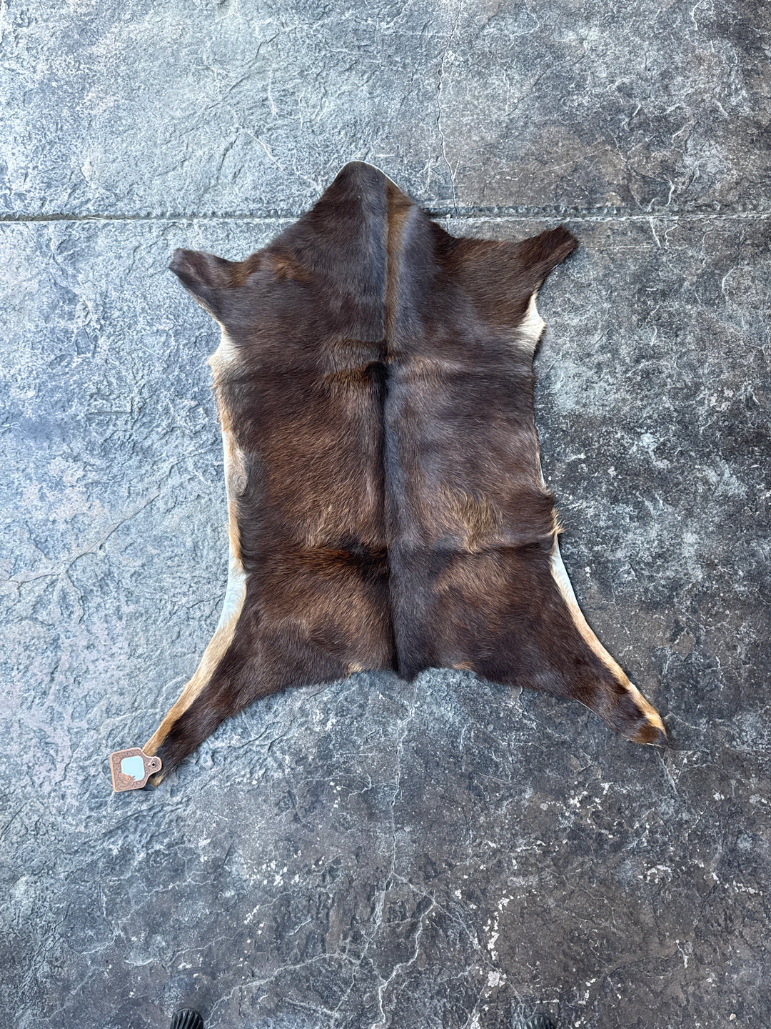 Goat Hide