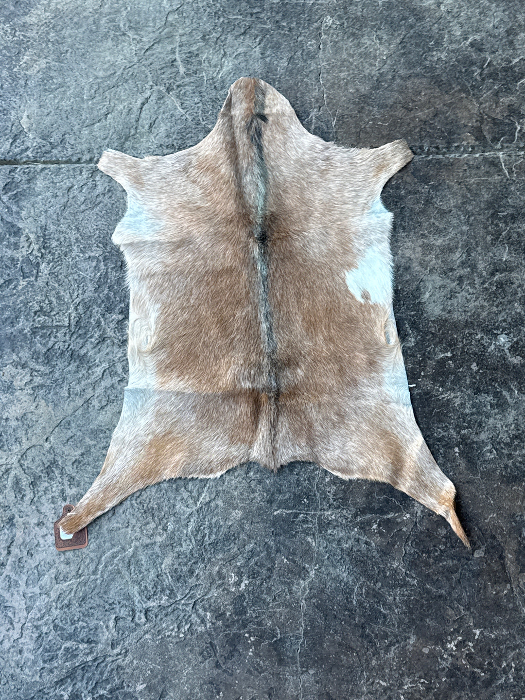 Goat Hide