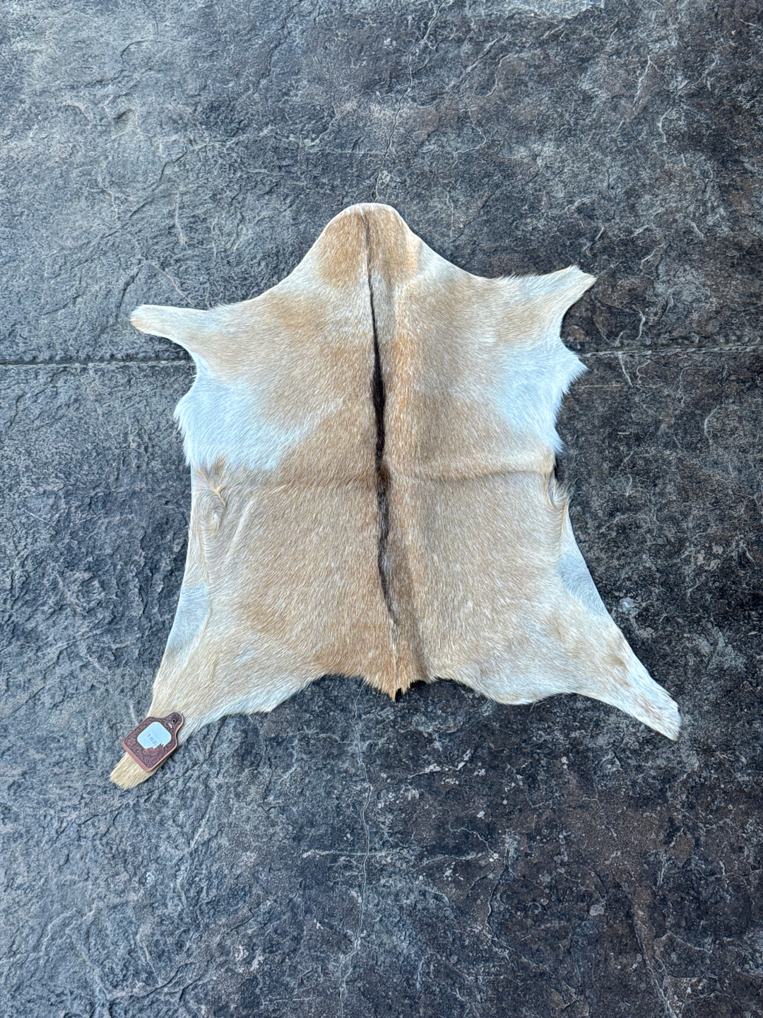 Goat Hide