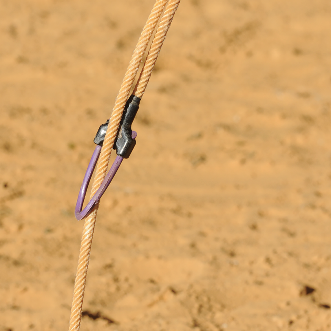 Breakaway Honda- Nothin But Neck