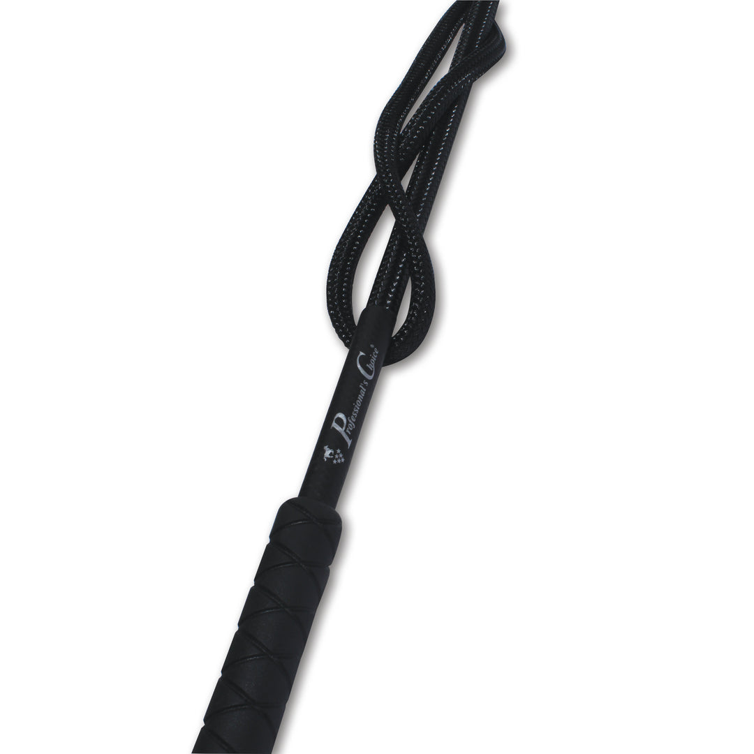 Lunge Whip