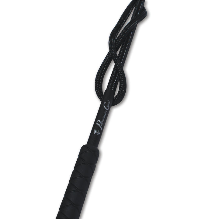 Lunge Whip