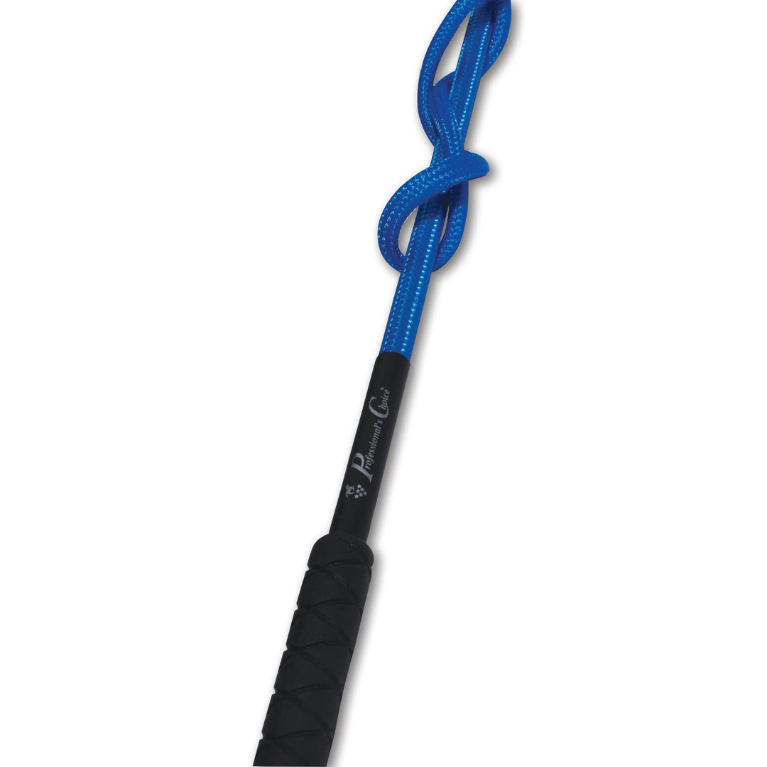 Lunge Whip