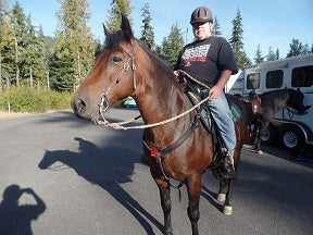 Red Flashing Safety Light, Clip-On