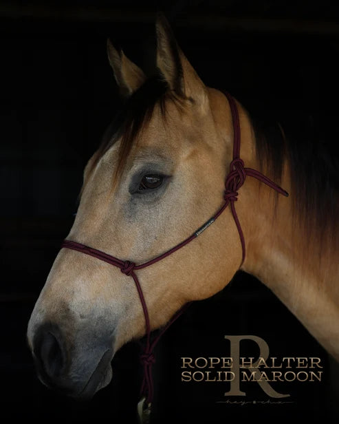 Hay Chix Redemption Rope Halter