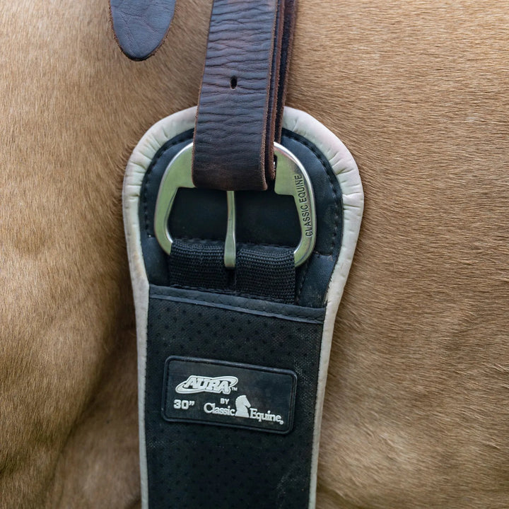 Classic Equine The Aura Cinch- Straight