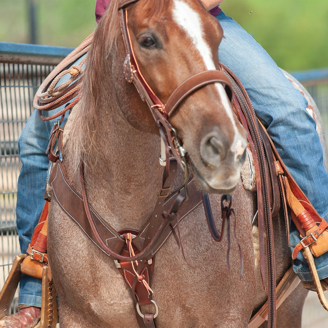 Martin Saddlery 2.75 inch Breastcollar Chocolate Roughout