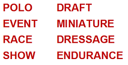 Caution Horses Signs INSERT WORD Series