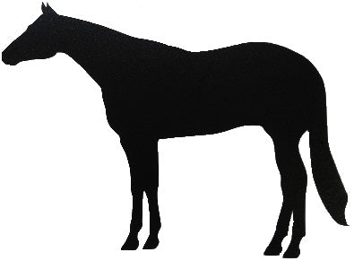 Halter Horse Side View Reflective Decal