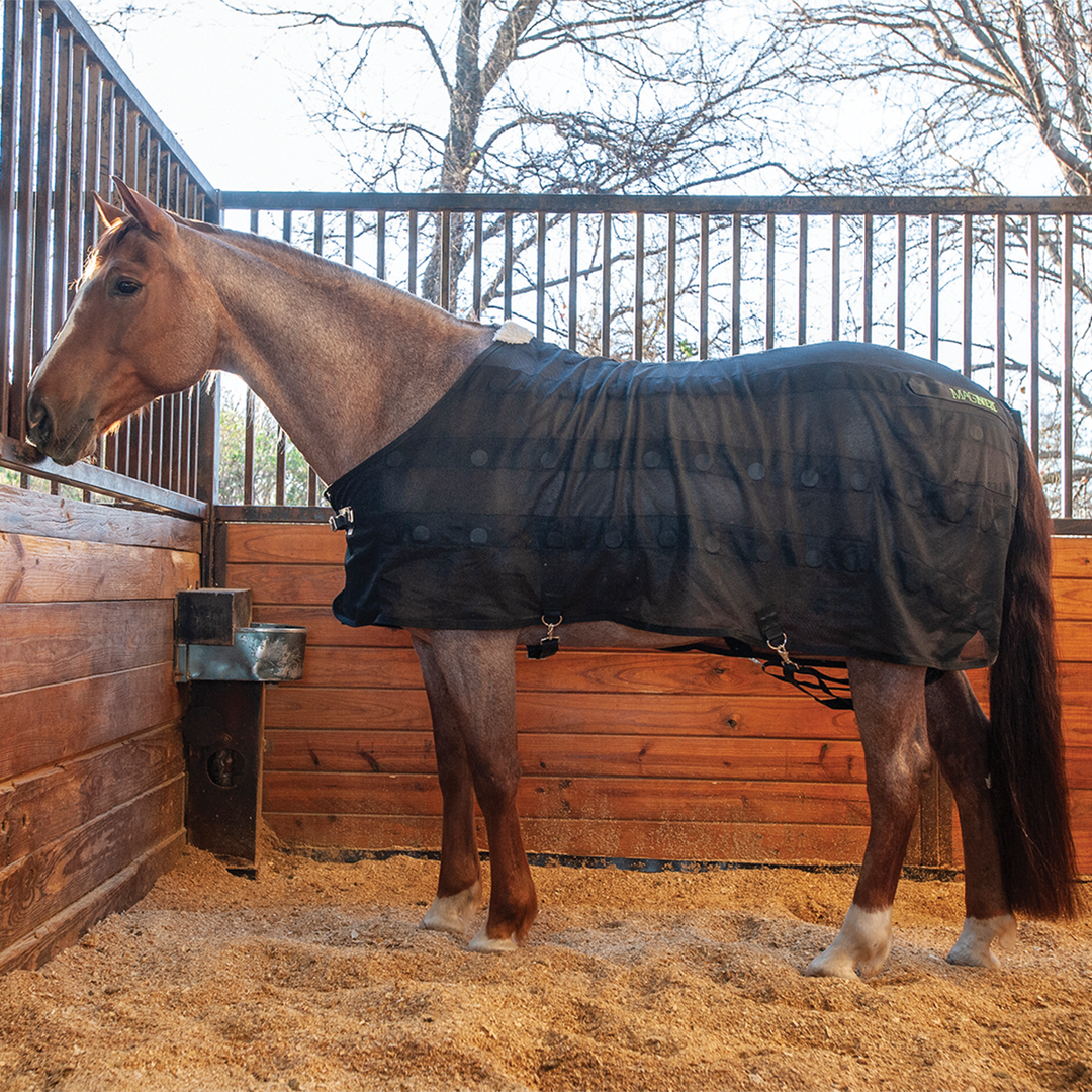 MagNTX Magnetic Sheet