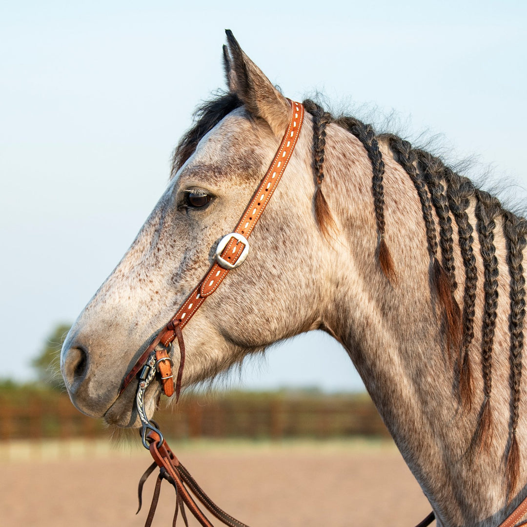 Martin Saddlery Split Ear Headstall Ranahan Buckstitched