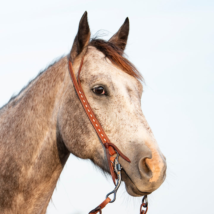 Martin Saddlery Split Ear Headstall Ranahan Buckstitched