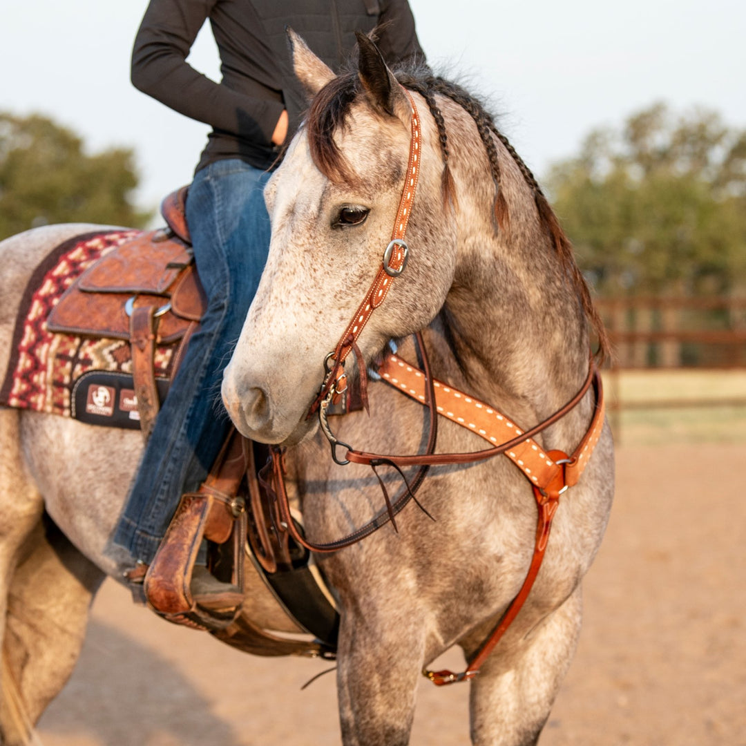 Martin Saddlery Split Ear Headstall Ranahan Buckstitched