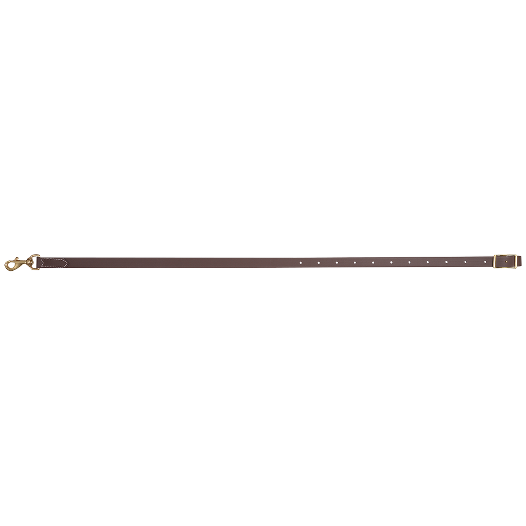 BioThane Tie Down Strap